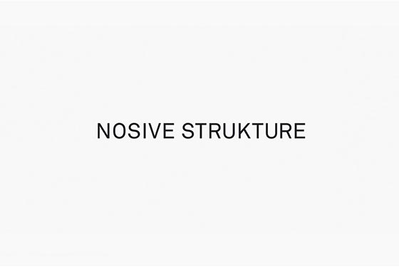Nosive Strukture品牌形象设计